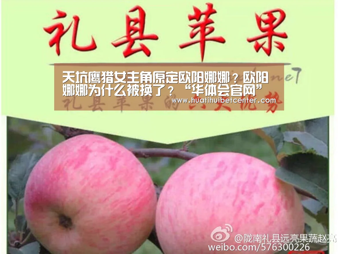 华体会下载